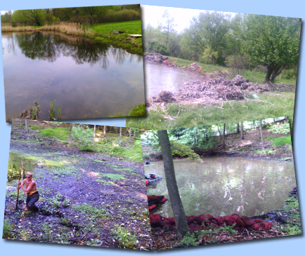 Aquacleaner Pond Restoration System