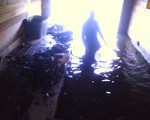 Boat House Cleanout...