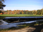 Canal Dredging...