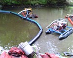 Pond Restoration...