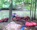 Pond Restoration...