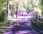 Pond Restoration...