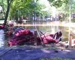 Pond Restoration...