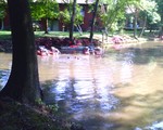 Pond Restoration...