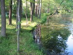 Pond Restoration...