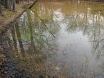 Pond Restoration...